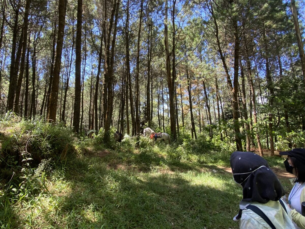 Hiking Jayagiri Lembang