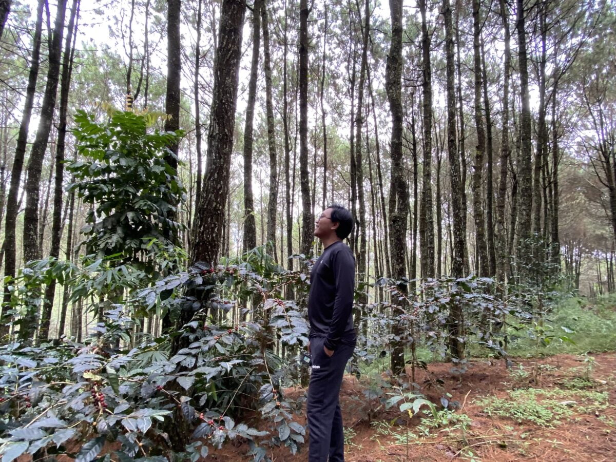 Hiking Suntenjaya